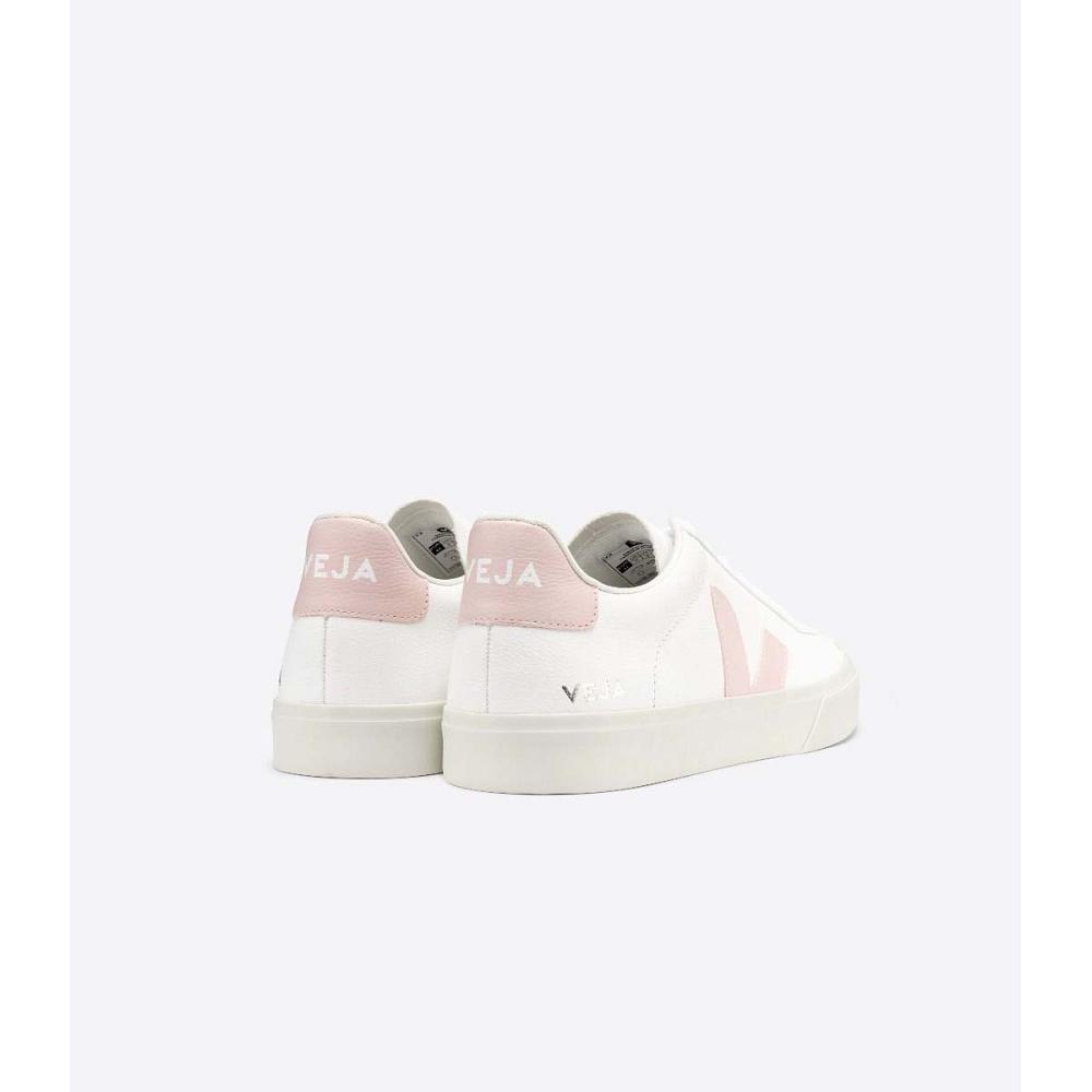 Low Tops Sneakers γυναικεια Veja CAMPO CHROMEFREE White/Pink | GR 463KOR